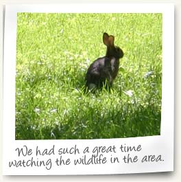 We had such a great time watching the wildlife in the area.